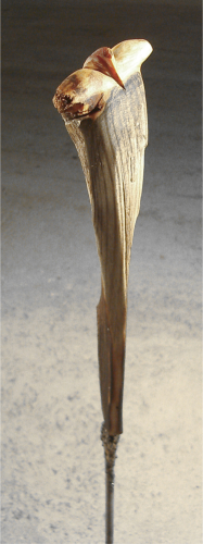 MÄNNLICHER HOLZSCHEIT-TORSO 2  - Holz, Feuer, Eisen, Beton, Höhe 70 cm, Detail 1