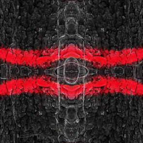 aus dem Zyklus Lebenszeichen, "Muster 9 Rot", Fotografie, digitale Bearbeitung und Zeichnung, 30 x 30 cm, Auflage 25