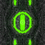 aus dem Zyklus Lebenszeichen, "Muster 6 Hellgrün", Fotografie, digitale Bearbeitung und Zeichnung, 13 x 13 cm, Auflage 10