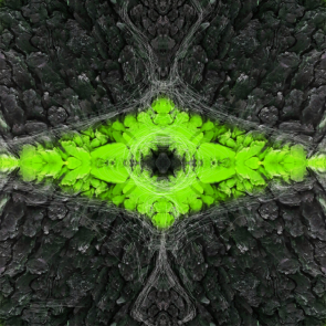 aus dem Zyklus Lebenszeichen, "Muster 11 Hellgrün", Fotografie, digitale Bearbeitung und Zeichnung, 30 x 30 cm, Auflage 25