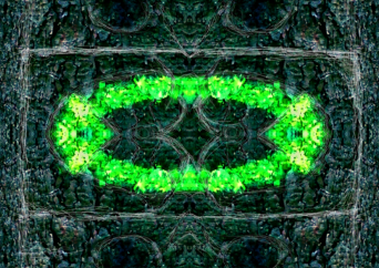 aus dem Zyklus Lebenszeichen, "Muster 16 Grün", Fotografie, digitale Bearbeitung und Zeichnung, 29,5 x 20,5 cm, Auflage 25