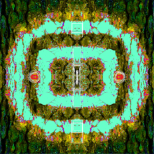 aus dem Zyklus Lebenszeichen "Muster 1 Türkies-Orange", Fotografie, digitale Bearbeitung und Zeichnung, 13 x 13 cm, Auflage 25