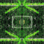 aus dem Zyklus Lebenszeichen "Muster 4, Grün", Fotografie, digitale Bearbeitung und Zeichnung, 13 x 13 cm, Auflage 25