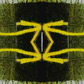 aus dem Zyklus Lebenszeichen, "Muster 12 Gelb", Fotografie, digitale Bearbeitung und Zeichnung, 30 x 30 cm, Auflage 25