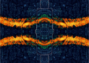 aus dem Zyklus Lebenszeichen, "Muster 9 Gelb", Fotografie, digitale Bearbeitung und Zeichnung, 29,5 x 20,5 cm, Auflage 25